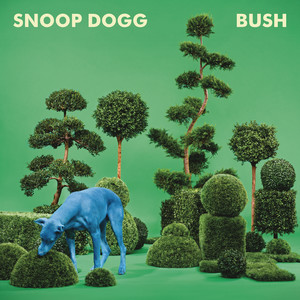 BUSH (Explicit)