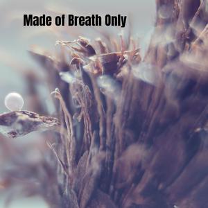 Carried by Invisible Currents