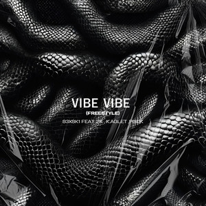Vibe Vibe (Freestyle) (Explicit)