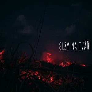 Slzy Na Tváři