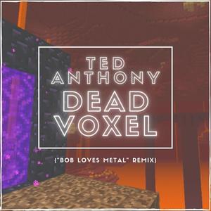 Dead Voxel