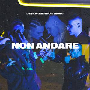 Non Andare(feat. SirK) (Explicit)