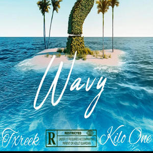 Wavy (feat. Txreek) [Explicit]