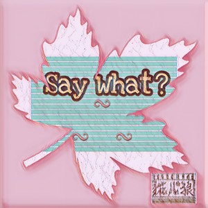 Say What