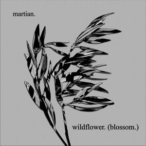 wildflower. (blossom.) (Explicit)