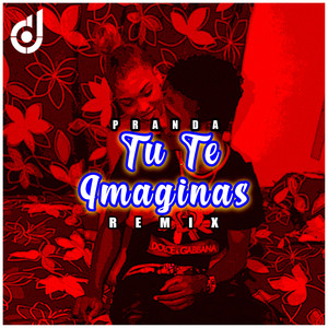 Tú Te Imaginas (Remix|Explicit)