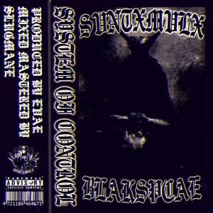 SYSTEM OF CONTROL (Explicit)