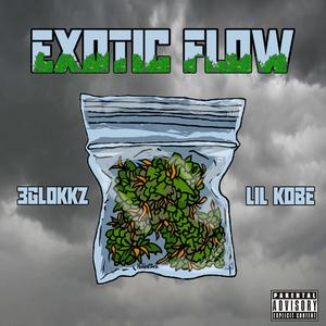 Exotic Flow (Explicit)