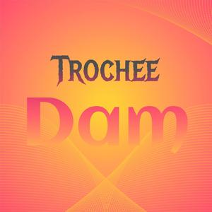 Trochee Dam
