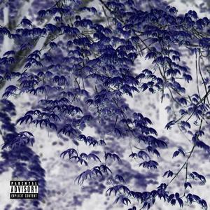 Cass. - Tout va (Explicit)