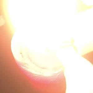 DUSTY! DELUXE (Explicit)