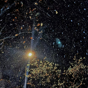 雪一片一片落下