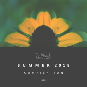 Bullfinch Summer Compilation 2018