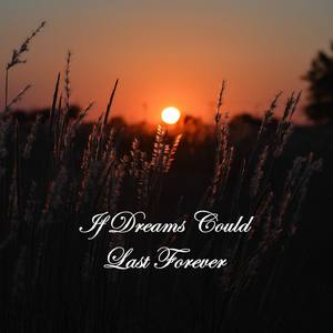 If Dreams Could Last Forever (feat. Melissa Duvall)