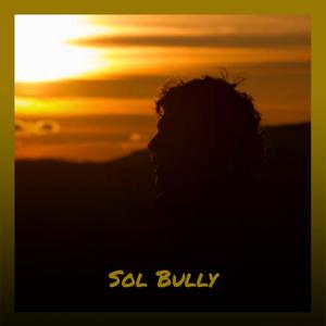 Sol Bully