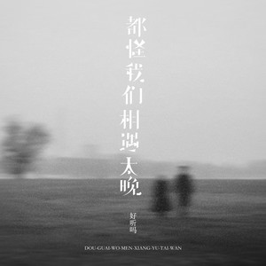都怪我们相遇太晚 (深情版)