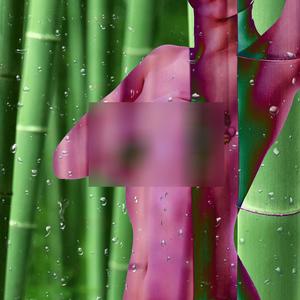 Bamboo (Explicit)