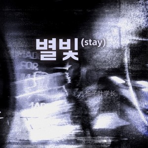 별빛 (stay)