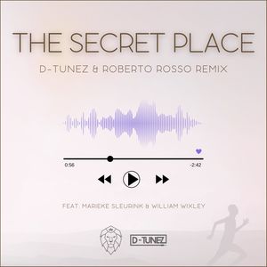 The Secret Place (Remix)