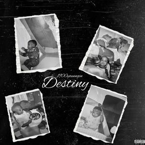 Destiny (Explicit)