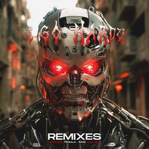 WE GO HARDER (Tegula Remix)