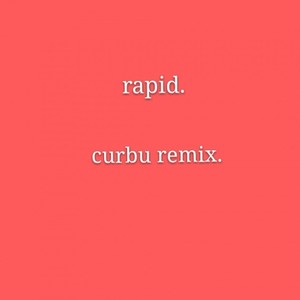 wzm. - rapid. (curbu remix)