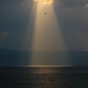 衝突 (翻奏: 服部隆之)