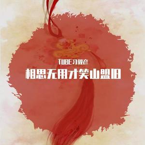 音阙诗听-相思无用才笑山盟旧 (TUBE习毅彦 remix)