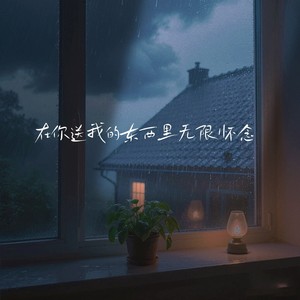 在你送我的东西里无限怀念