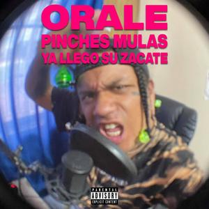 Orale pinches mulas ya llego su zacate (Explicit)