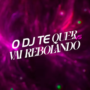 O Dj Te Quer X Vai Rebolando (Explicit)