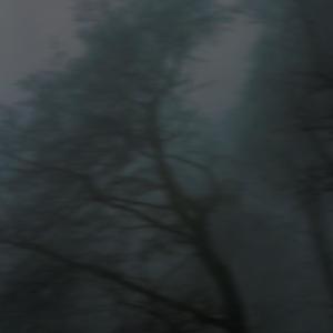 ecstasy (Explicit)