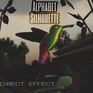 Direct Effect (Explicit)