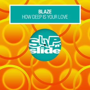 How Deep Is Your Love (Shelter Vocal)
