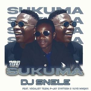 SUKUMA (feat. VOCALIST TE.EM, P-JAY CYN'TESH & VUYO MNQAYI) [Explicit]