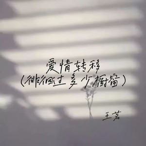 爱情转移(徘徊过多少橱窗)
