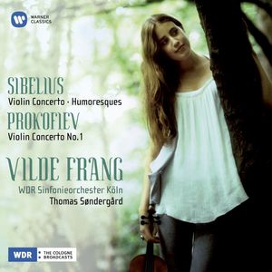 Concerto No. 1 in D Major for Violin and Orchestra, Op. 19 - I. Andantino (D大调第1号小提琴协奏曲，作品19)