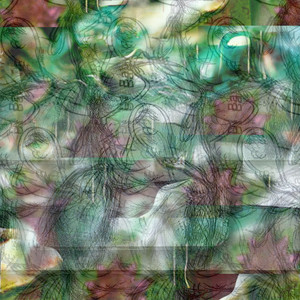 eucalyptus globulus (Explicit)