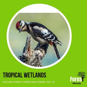 Tropical Wetlands - Nature Forest Chirps and Songs, Vol. 10