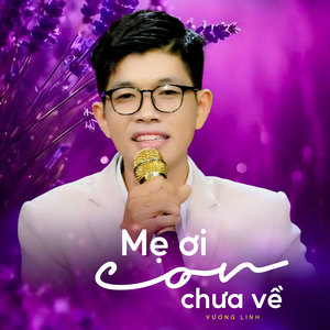 Mẹ Ơi Con Chưa Về