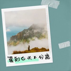 爱到白头不分离