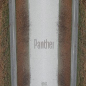 Panther (Remix|Explicit)