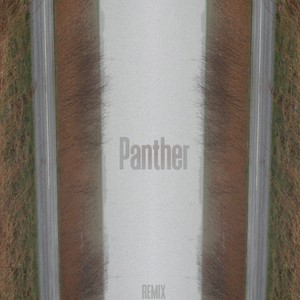 Panther (Remix) [Explicit]