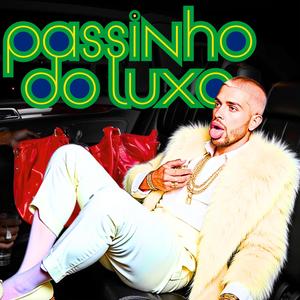 Passinho do luxo (Speed Slowed and Reverb) (Explicit)