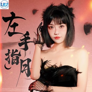 左手指月