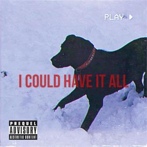 I Could Have It All (Explicit)