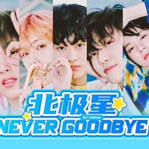 北极星（Never goodbye）