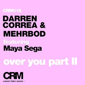 Over You (DMS12 Remix)