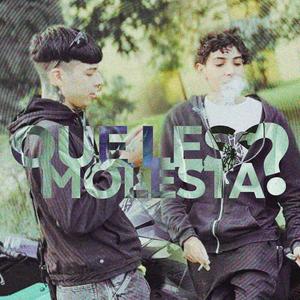 q les molesta? (Explicit)