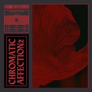 Chromatic Affection 2